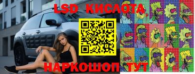 крисы Славянск-на-Кубани