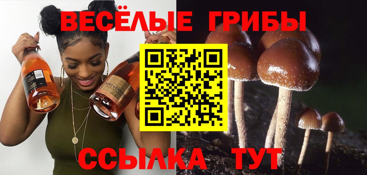 Псилоцибиновые грибы GOLDEN TEACHER  Вход с VPN  Обнинск 